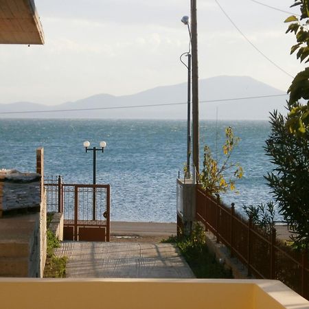 Artemis - Marina Apartments Evia Exterior photo