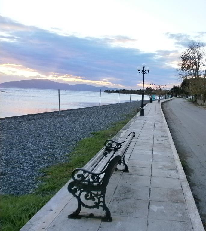 Artemis - Marina Apartments Evia Room photo