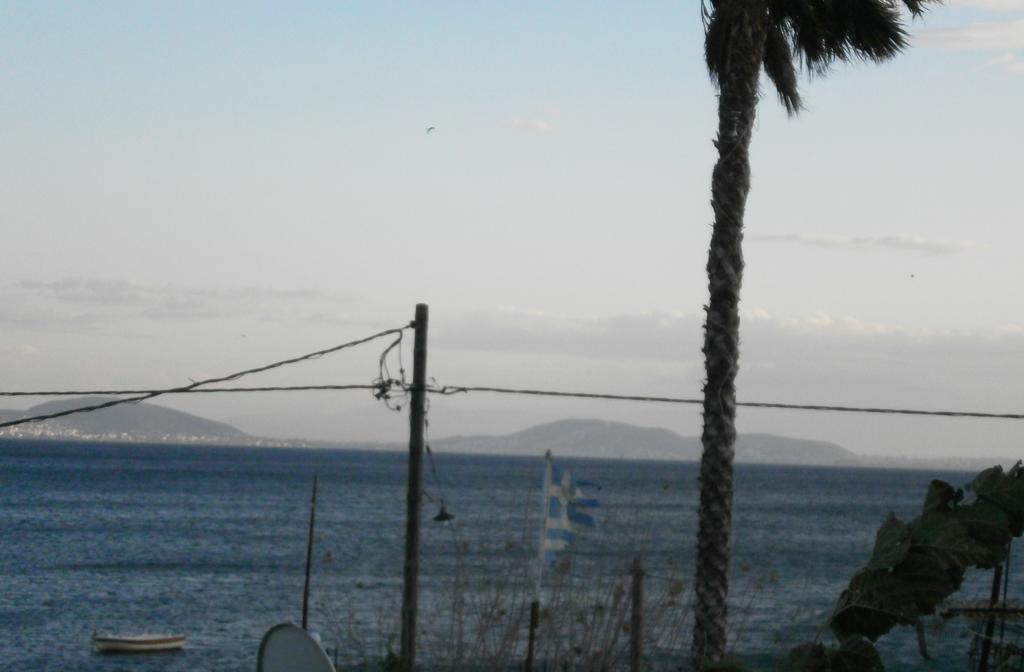 Artemis - Marina Apartments Evia Room photo