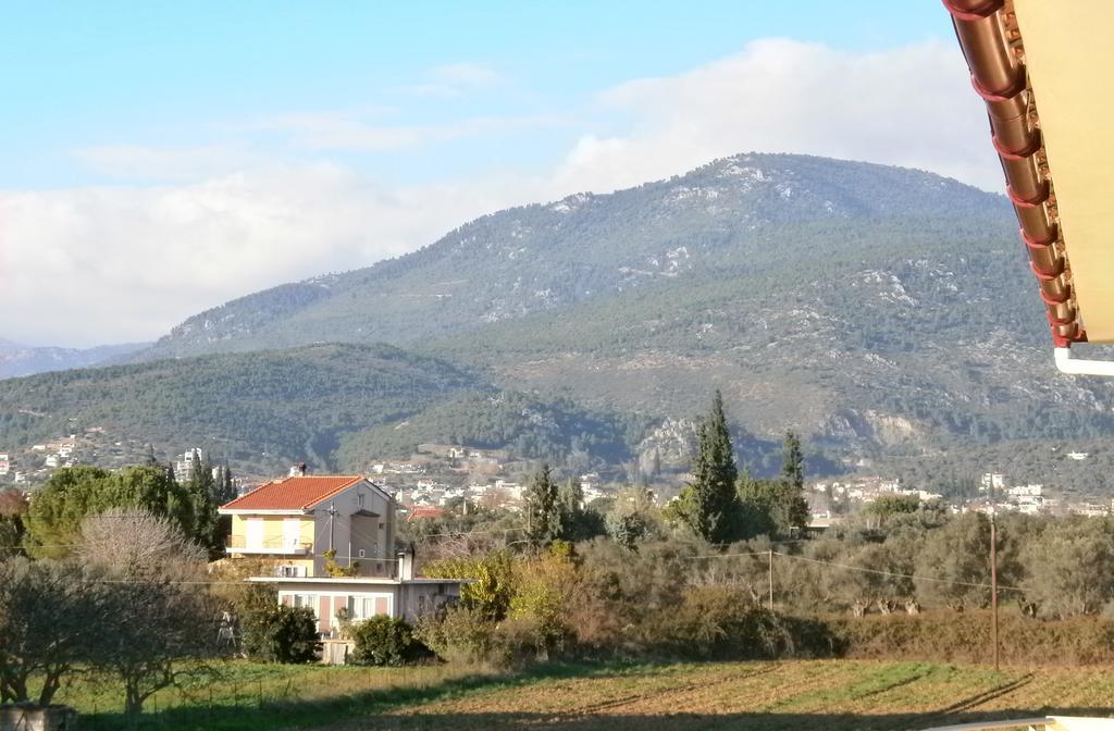 Artemis - Marina Apartments Evia Room photo